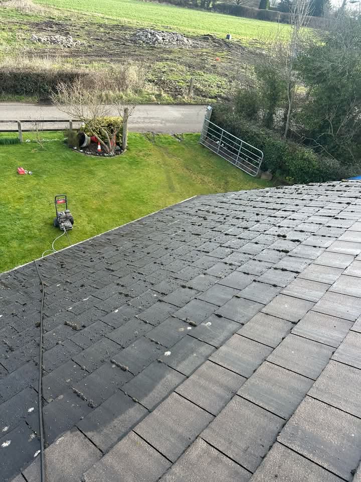 Professional roof cleaning service